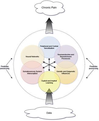 Chronic pain as an emergent property of a complex system and the potential roles of psychedelic therapies